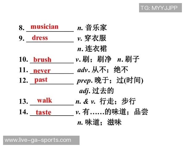 足球场上各位置的英文缩写解析与应用指南