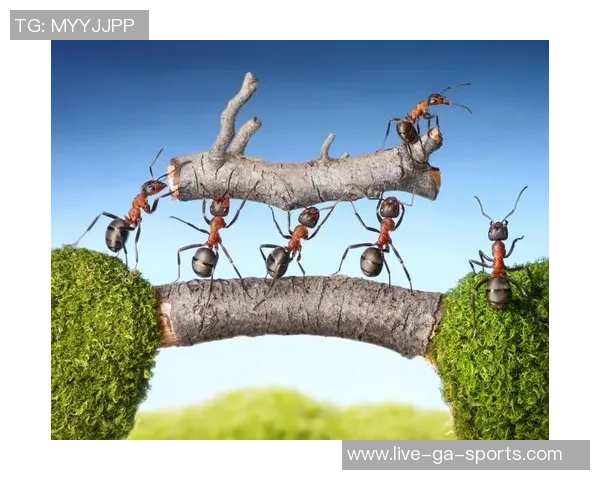 足球队希腊人：追寻荣耀之路与团结精神的传奇故事